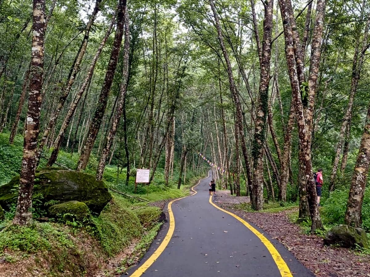 way to Phulchoki Hill Day Hike