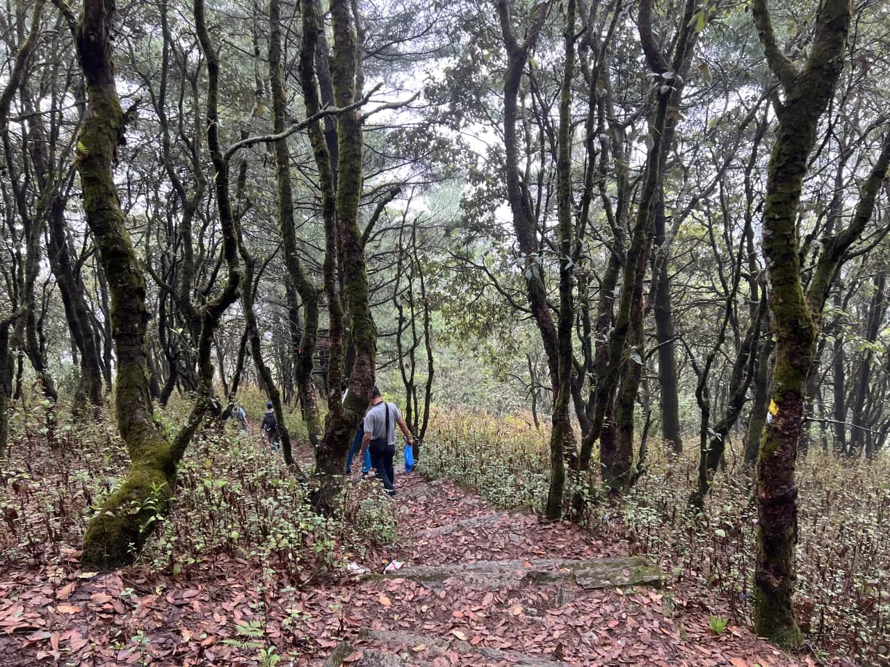 champa devi hikking trial