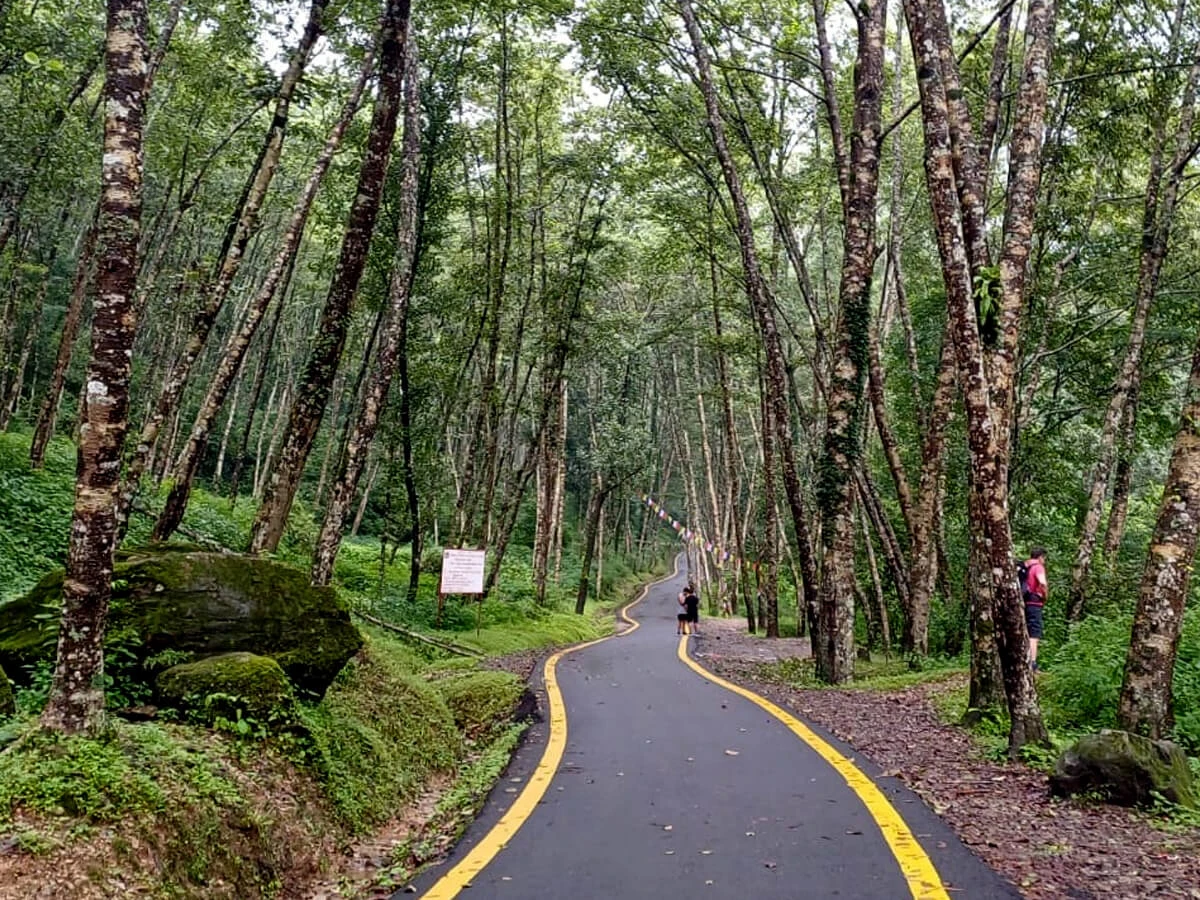 way to Phulchoki Hill Day Hike
