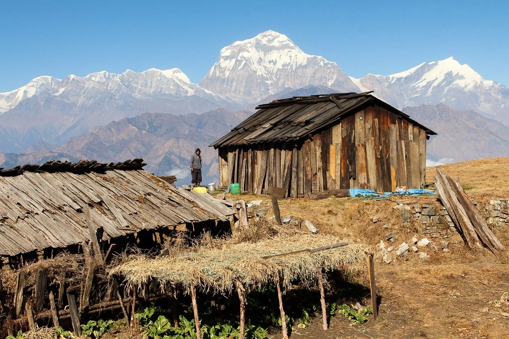 On the way to mohare danda trek