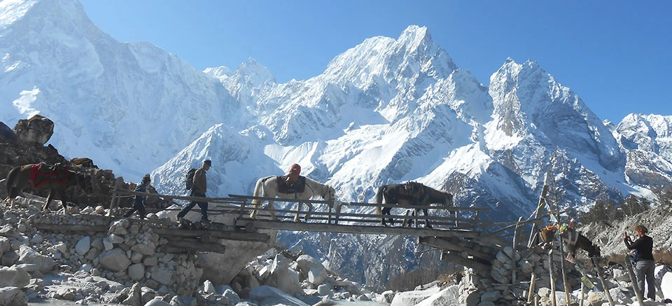 bridge on the way to manaslu circuit Trek
